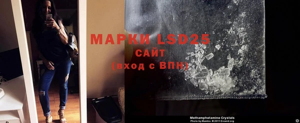 ПСИЛОЦИБИНОВЫЕ ГРИБЫ Няндома