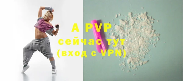 ПСИЛОЦИБИНОВЫЕ ГРИБЫ Няндома