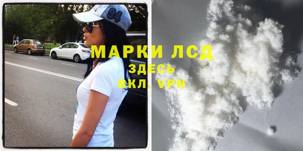 ПСИЛОЦИБИНОВЫЕ ГРИБЫ Няндома