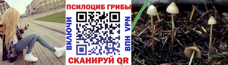 Псилоцибиновые грибы GOLDEN TEACHER  Купить закладки  Лахденпохья 
